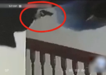 T0204003 Cuando La Policía Encuentra Famosos Muert part2