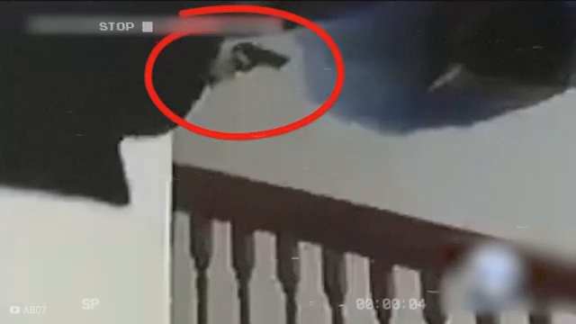 T0204003 Cuando La Policía Encuentra Famosos Muert part2