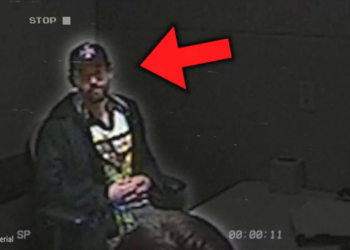 T3004014 Así Es Un Asesino Con Un IQ De part2