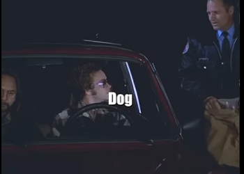 T2337013 Police stop part2