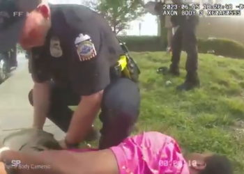 T1404007 Cuando Se Detiene Estúpidos Ladrones De part2