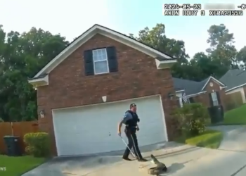 T0604002 Cuando La Policía Se Enfrenta Animales part2