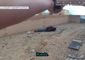 T1404015 Cuando La Policía Hace Descubrimientos part2