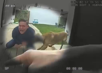 T0604007 Cuando Los Perros Policía Salvan El Día part2