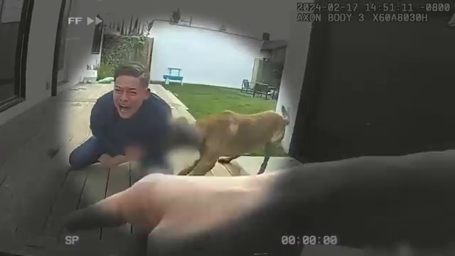 T0604007 Cuando Los Perros Policía Salvan El Día part2