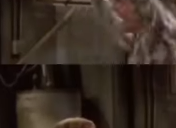 T0637009 Kelso Jackie Finally Do It.. That70sShow #sho part2