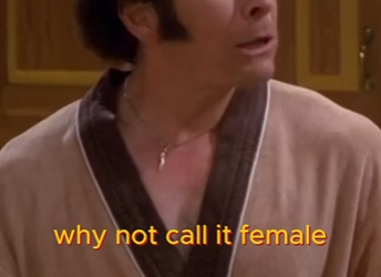 T1438048 English language is so oppressive to women part2