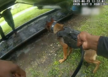 T1704006 Las persecuciones policiales más brutales a alta velocidad captadas por cámaras de salpicadero #51 part2