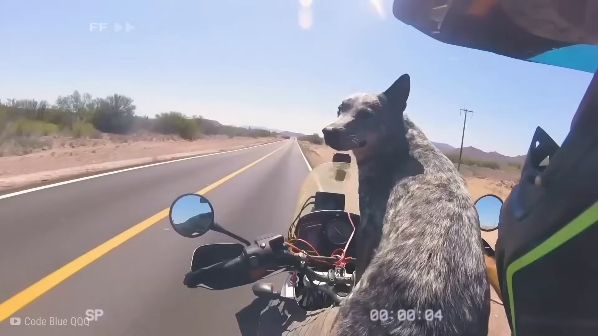 T0704002 Un Polici Se Da Cuenta De Que Han Detenido Un part2