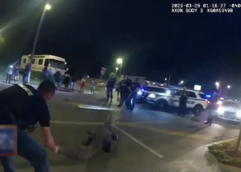 T1704003 8 Peores Momentos En Que La Policía Tuvo Que Enfrentarse A Animales Peligrosos part2