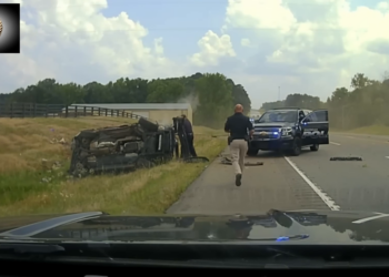 T2004007 Persecuciones Salvajes Captadas en Cámara part2