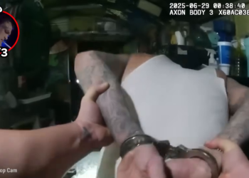 T2004010 Cuando Los Perros Policías Se Niegan A Mostrar Arrepentimiento part2